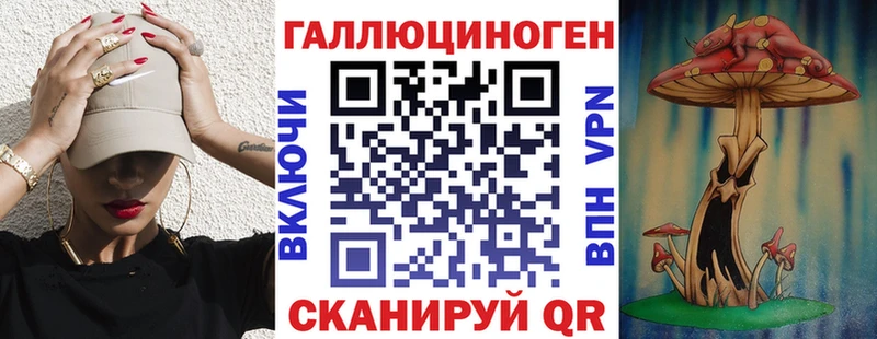Галлюциногенные грибы Psilocybe  Иланский 